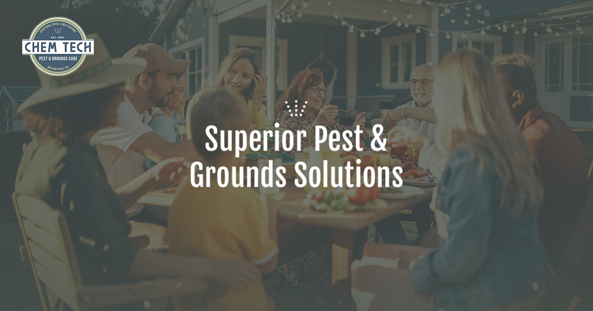 Katy, TX Pest Control Pest Extermination in Katy, TX